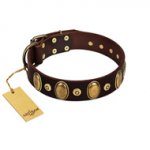 "Retro Pusle" FDT Artisan Brown Leather English Bull Terrier Collar with Old Bronze-like Studs and Oval Brooches