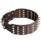 English Bull Terrier Leather Wide Dog Collar with Spikes and Pyramids