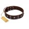 "Skull Valley" Handcrafted FDT Artisan Brown Leather English Bull Terrier Collar with Skulls