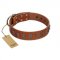 "Silver Century" Fashionable FDT Artisan Tan Leather English Bull Terrier Collar with Silver-Like Plates