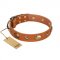 "Visual Magic" FDT Artisan Tan Leather English Bull Terrier Collar for Daily Activities