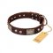"Pirate Skull" FDT Artisan Brown Leather English Bull Terrier Collar with Old Silver Look Plates and Skulls