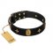 "Star Powder" FDT Artisan Black Leather English Bull Terrier Collar with Ovals and Stars - 1 1/2 inch Wide