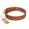 "Natural Beauty" FDT Artisan Tan Leather English Bull Terrier Collar with Shining Silver-like Studs
