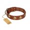 "Flight of Fancy" FDT Artisan Adorned Leather English Bull Terrier Collar