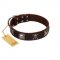 "Nut-Brown Finery" Embellished FDT Artisan Brown Leather English Bull Terrier Collar with Chrome Plated Crossbones and Plates