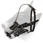 Easily Adjustable Well-Fitting Wire Cage Bull Terrier Muzzle