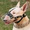 Lightweight Everyday Wire Cage Bull Terrier Muzzle