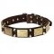 Vintage Leather Bull Terrier Collar Decorated With Brass Plates And Nickel Pyramids