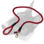 English Bull Terrier Nylon Cord Dog Leash for Walking