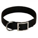 All Weather Classic Nylon Bull Terrier Collar
