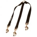 Nylon Bull Terrier Leash For Walking Three Dogs
