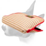 English Bull Terrier Jute Young Dog Bite Builder Sleeve