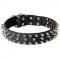 Wide Spiked Design Leather Bull Terrier Collar
