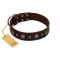 "Pure Sensation" Exclusive FDT Artisan Brown Leather English Bull Terrier Collar with Fancy Brooches and Studs