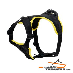 Perfect Fit Black Nylon Harness for Safe and Comfortable Walking