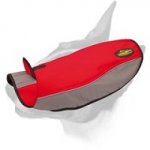 Warm Winter Nylon Bull Terrier Harness