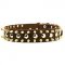 Cool Design Leather Bull Terrier Collar with Spikes and Studs