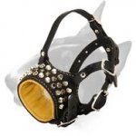 Anti-Barking Studded Leather Bull Terrier Muzzle