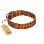 "Terra-cotta" FDT Artisan Tan Leather English Bull Terrier Collar with Two Rows of Studs