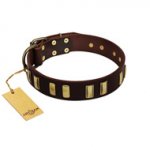 "Peace and Harmony" FDT Artisan Brown Leather English Bull Terrier Collar with Plates