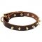 Royal Leather Bull Terrier Collar for Walking