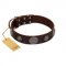 "Flashy Woof" FDT Artisan Brown Leather English Bull Terrier Collar with Chrome Plated Brooches