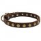 Astonishing Leather Bull Terrier Collar Adorned With Brass Studs