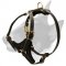 Adjustable Padded Leather Bull Terrier Harness for Dog Walking