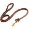 Braided Leather English Bull Terrier Leash with Round Handle