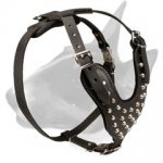 Fashion Studded Leather Bull Terrier Harness for Dog Walking