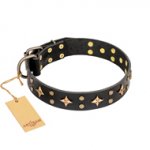 'A La Mode' FDT Artisan Handmade Black Leather English Bull Terrier Collar