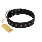 "Flower Rhapsody" FDT Artisan Premium Quaulity Black Leather English Bull Terrier Collar