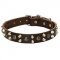 Studded Design Thin Leather Bull Terrier Collar