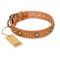 "Feast of Luxury" FDT Artisan Tan Leather English Bull Terrier Collar with Old Bronze Look Circles