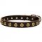 Leather English Bull Terrier Collar For Everyday Usage