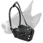 English Bull Terrier Military Leather Dog Muzzle
