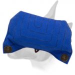 English Bull Terrier Puppy Strong and Soft Bite Builder