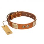 "Perfect Blend" FDT Artisan Tan Leather English Bull Terrier Collar 1 1/2 inch (40 mm) wide