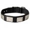 All Weather Nylon Bull Terrier Collar with Decorative Metal Plates