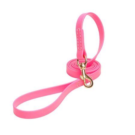 Pink Waterproof English Bull Terrier Leash Made of Biothane
