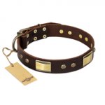 "Rich Fashion" FDT Artisan Decorated Leather English Bull Terrier Collar with Plates and Studs