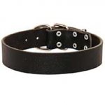 Simple Design Wide Leather Bull Terrier Collar