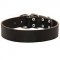 Simple Design Wide Leather Bull Terrier Collar