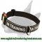 Any Weather Nylon Bull Terrier Collar For Training