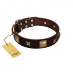 "Choco Dreams" FDT Artisan Brown Leather English Bull Terrier Collar with Squares and Stars