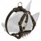 Bull Terrier Solid Spiked Chest Leather Dog Harness for Puppies