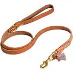 Professional Braided Leather Bull Terrier Leash with Brass Snap Hook