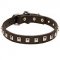 Gorgeous Leather Bull Terrier Collar With Nickel Studs