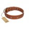 "Star Shine" Exclusive FDT Artisan Tan Leather English Bull Terrier Collar with Silver-Like Adornments